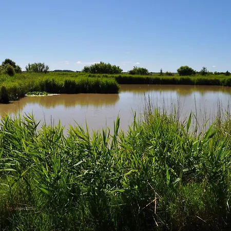 Apartment Haus Dorfschmiede, Whg Seestern