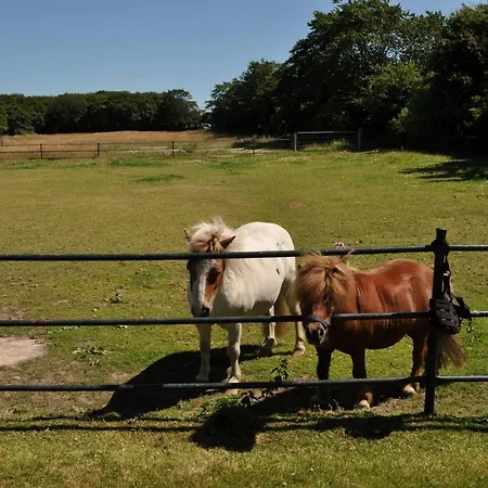 Apartment Haus Dorfschmiede, Whg Seestern
